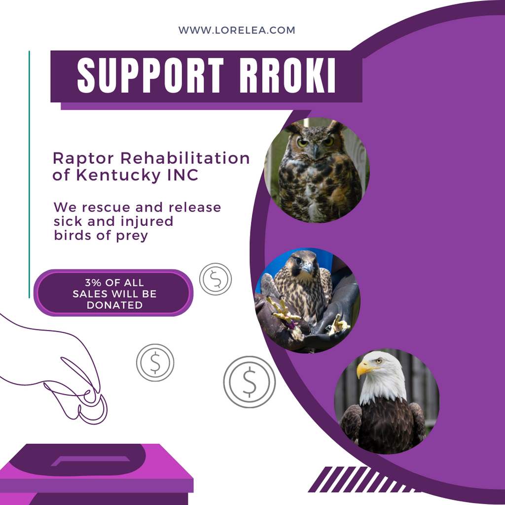 Giving Back, One Supply at a Time: Our Q1/Q2 Gift to RROKI