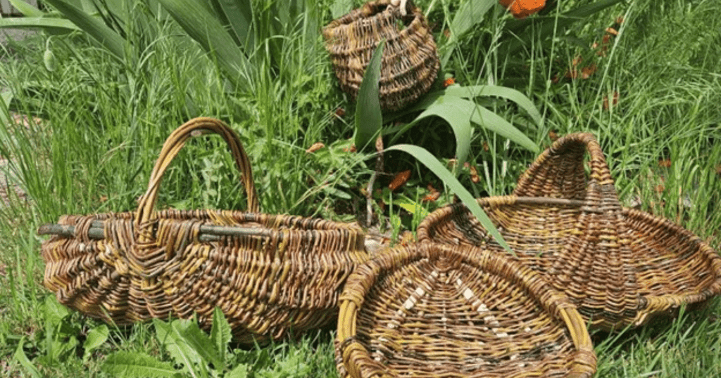 A Week of Willow Weaving at Shenandoah Creates