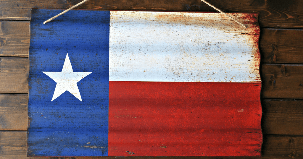 Everything’s Bigger (and More Fun!) in Texas: Teaching at the Texas Basket Weavers Association 2025