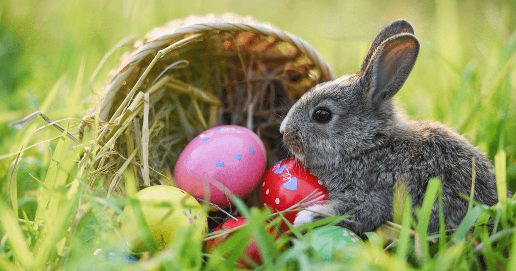 Catch Our Bunny Weaving Demo on YouTube!
