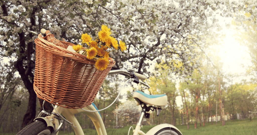 The Art of Basket Weaving for Your Spring Garden