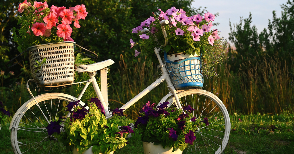 🌞 Weaving Light: Celebrating the Summer Solstice with Basketry